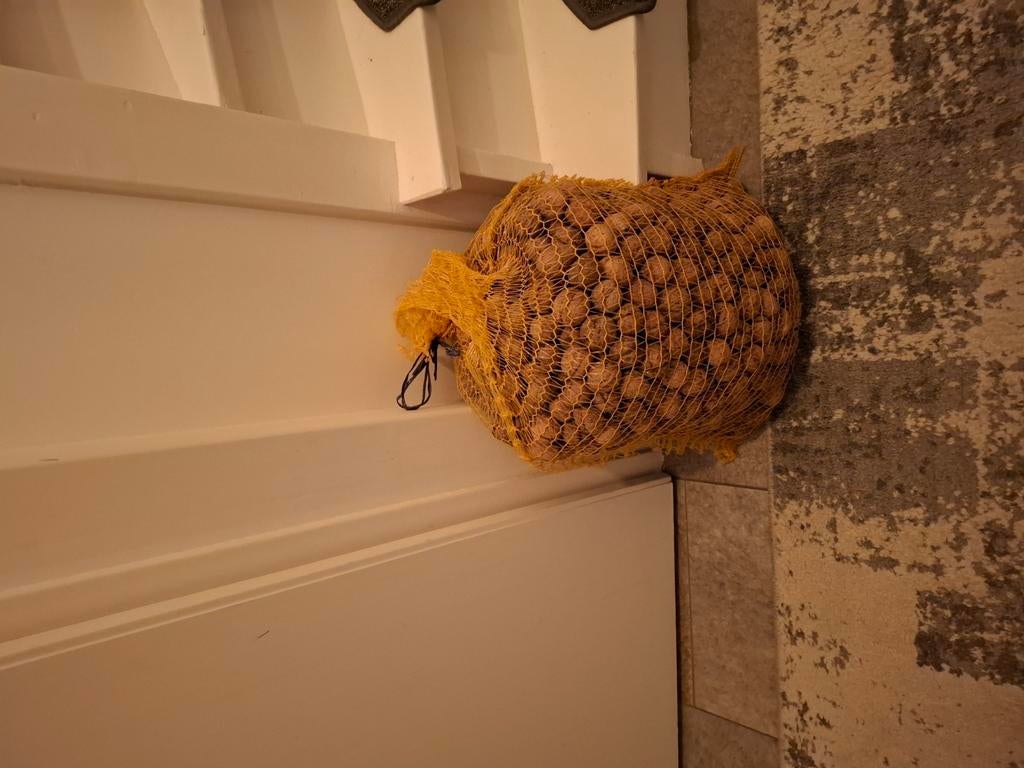 Walnoot, Meerdere dieren