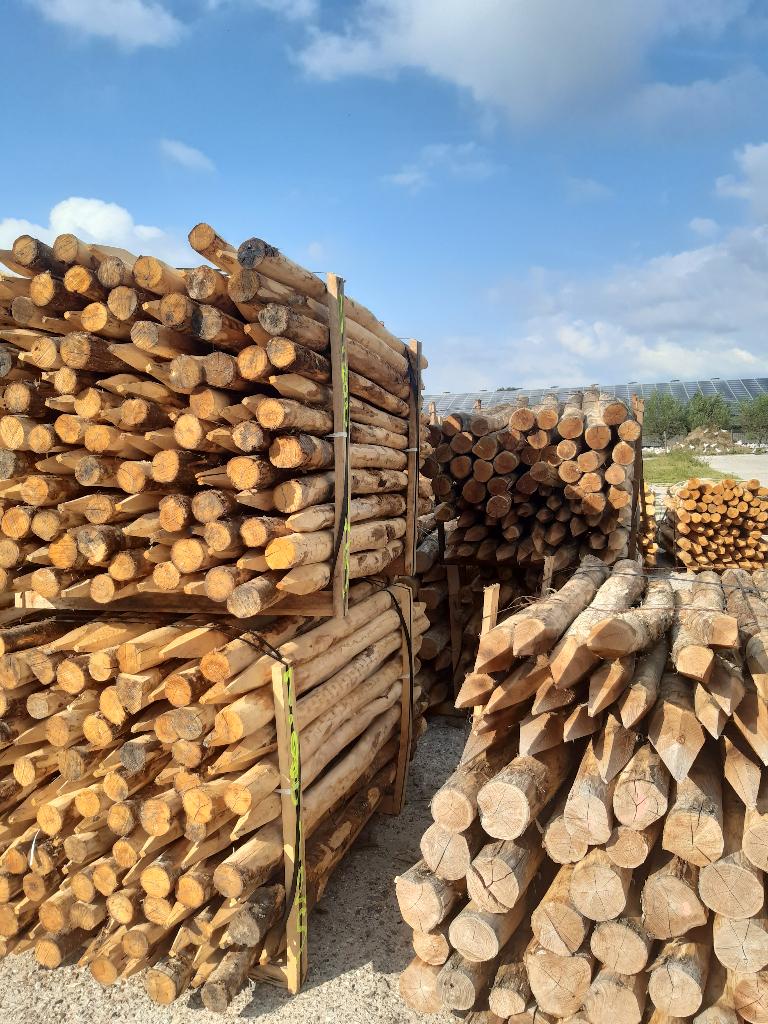 Kastanjehouten palen, heiningpalen, 180cm lang , 10/12cm dik, Ophalen, Nieuw, 180 tot 250 cm, Palen