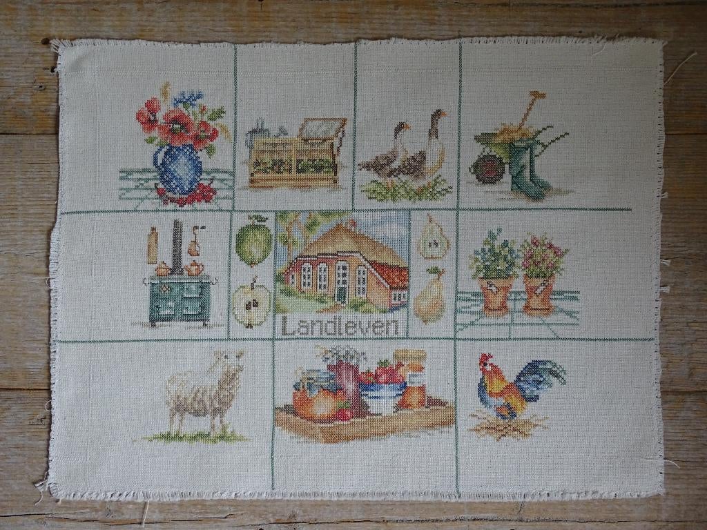 Borduurwerk LANDLEVEN, gaaf, Hobby en Vrije tijd, Ophalen of Verzenden, Zo goed als nieuw, Handborduren, Overige typen