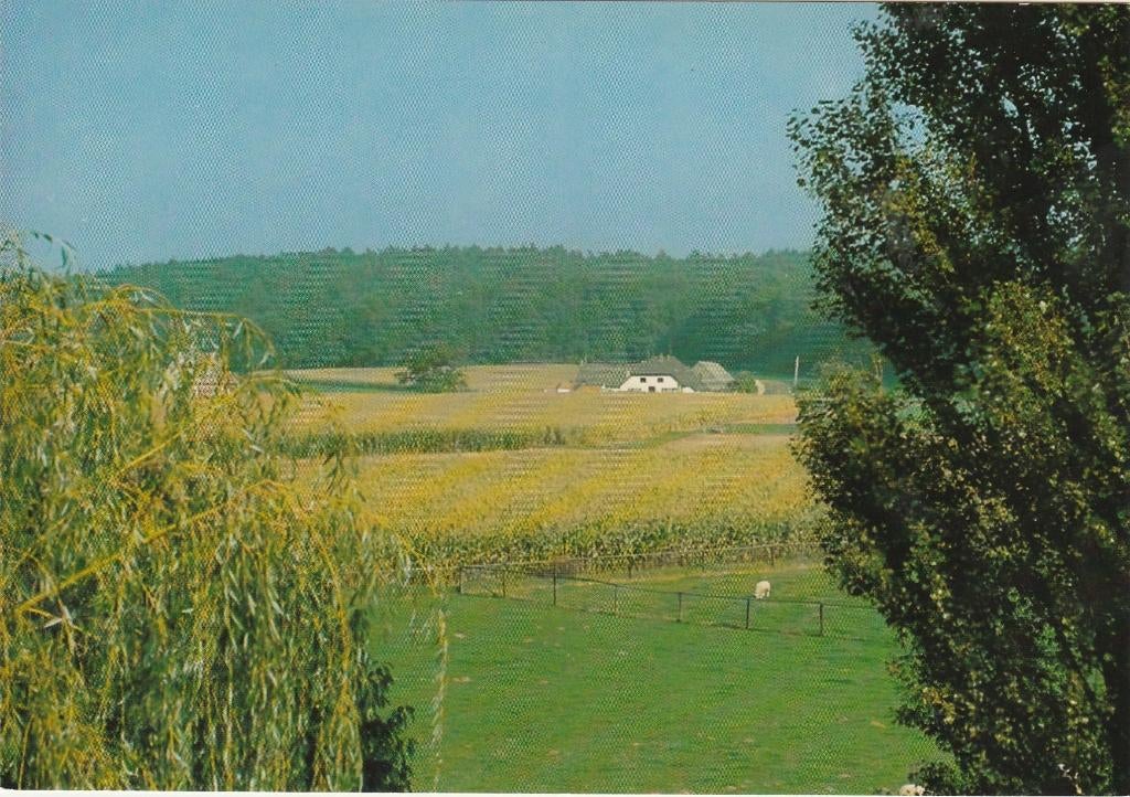 BEEK MONTFERLAND Panorama, Verzenden, 1980 tot heden, Ongelopen, Gelderland