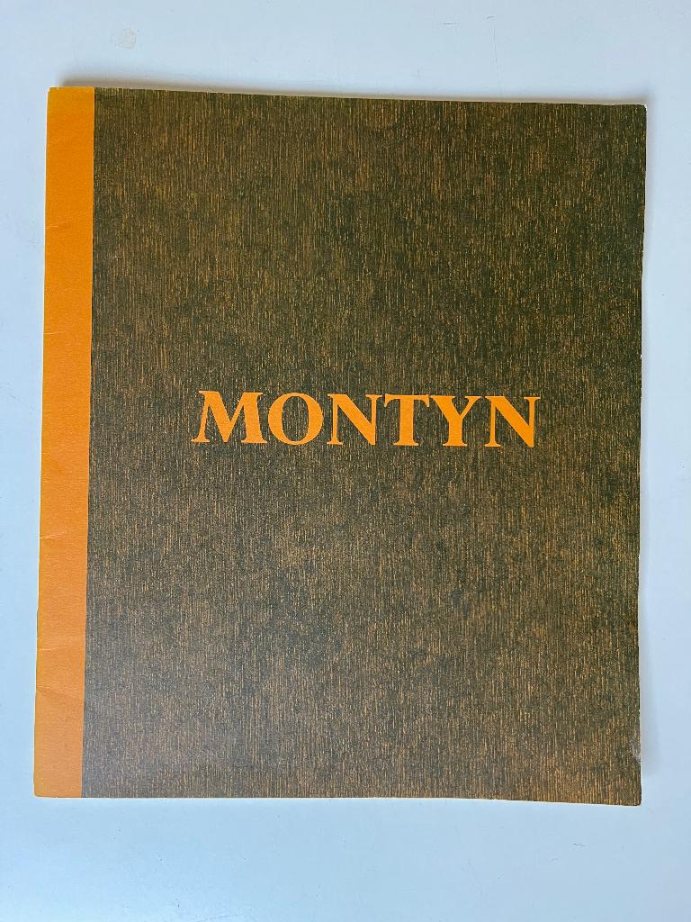 Montyn, Ophalen of Verzenden, Zo goed als nieuw, Carin Reinders, Schilder- en Tekenkunst
