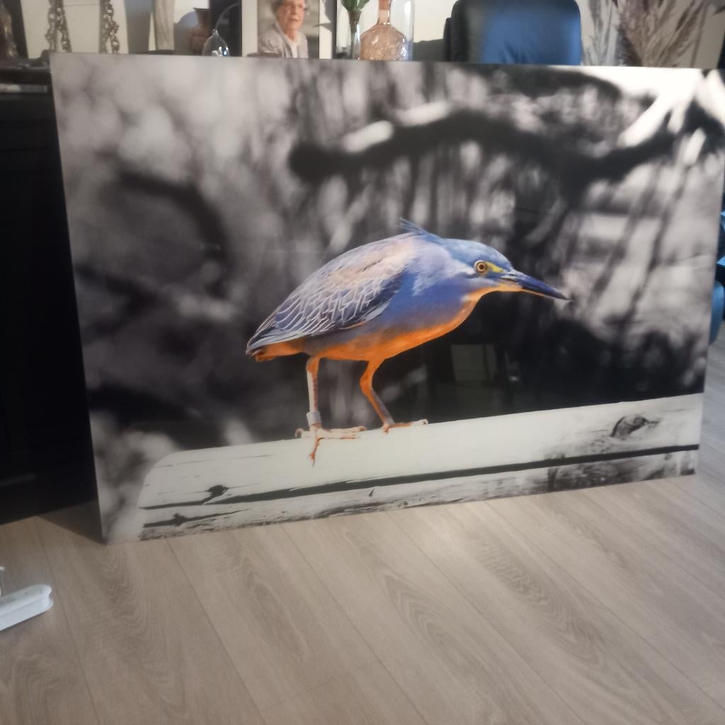 poster, Ophalen, 125 cm of meer, Zo goed als nieuw, Schilderij