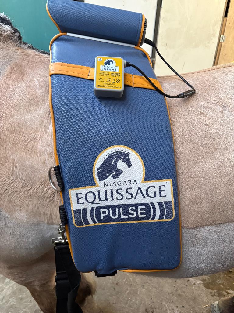 Gezocht Niagara Equissage Pulse (ouder model voor de rug)., Ophalen of Verzenden, Gebruikt, Overige soorten