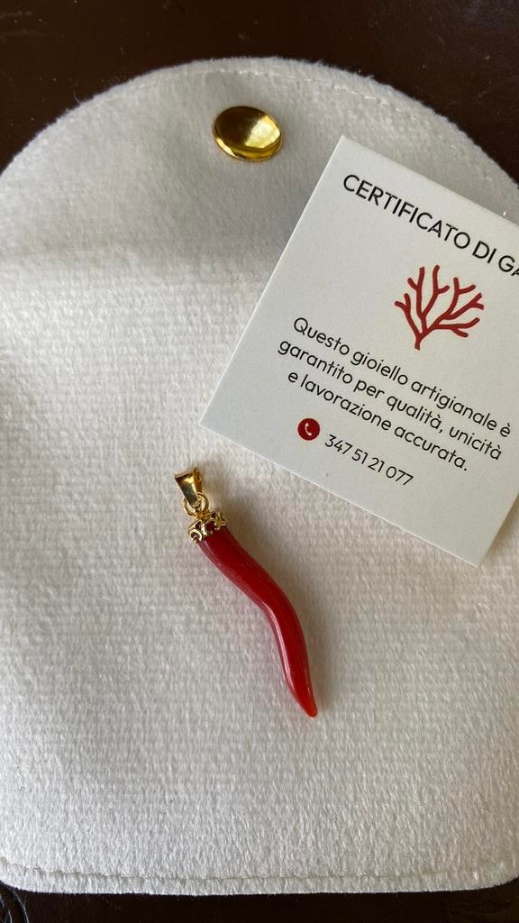 Bloedkoraal hanger in verguld kroontje, Overige voorstellingen, Nieuw, Ophalen of Verzenden, Met edelsteen