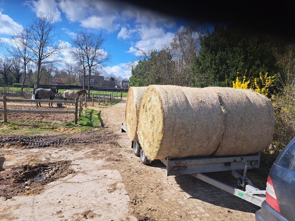 Hooibalen hooi balen weidehooi natuurhooi paarden pony's, Dieren en Toebehoren, Ophalen of Verzenden, Vee