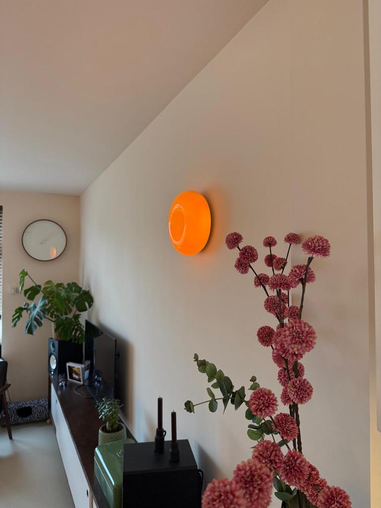 Sikkens Alphatex SF 10L - Nieuw! E4.05.87, Ophalen, 5 tot 10 liter, Nieuw, Verf