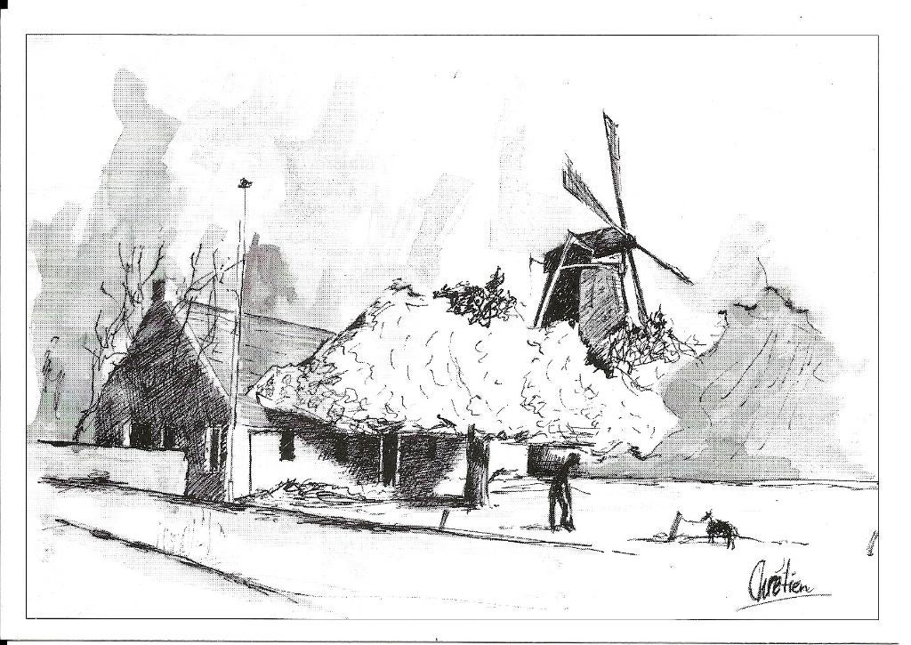 Ansichtkaart	Friesland	Boerderij met molen, Verzenden, 1980 tot heden, Ongelopen, Friesland