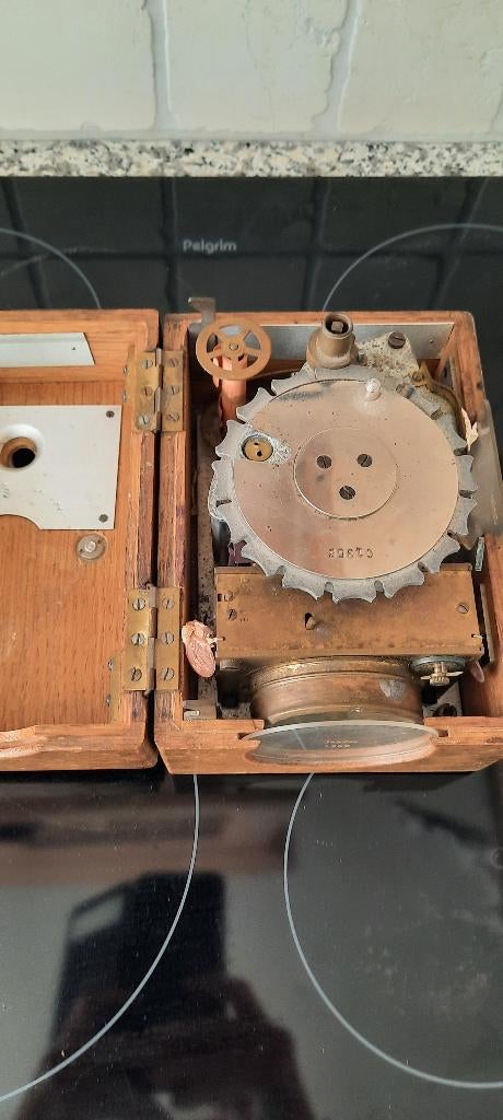 Duivenklok, Mannelijk, Postduif