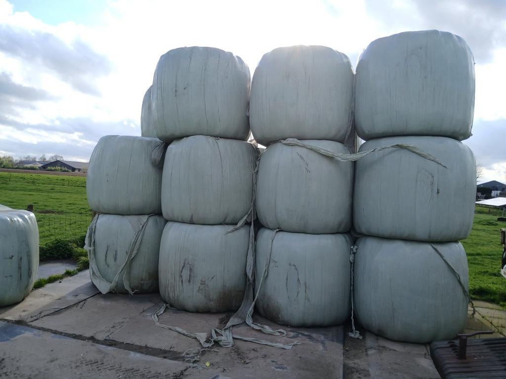 Hooi, Dieren en Toebehoren, Ophalen of Verzenden, Vee