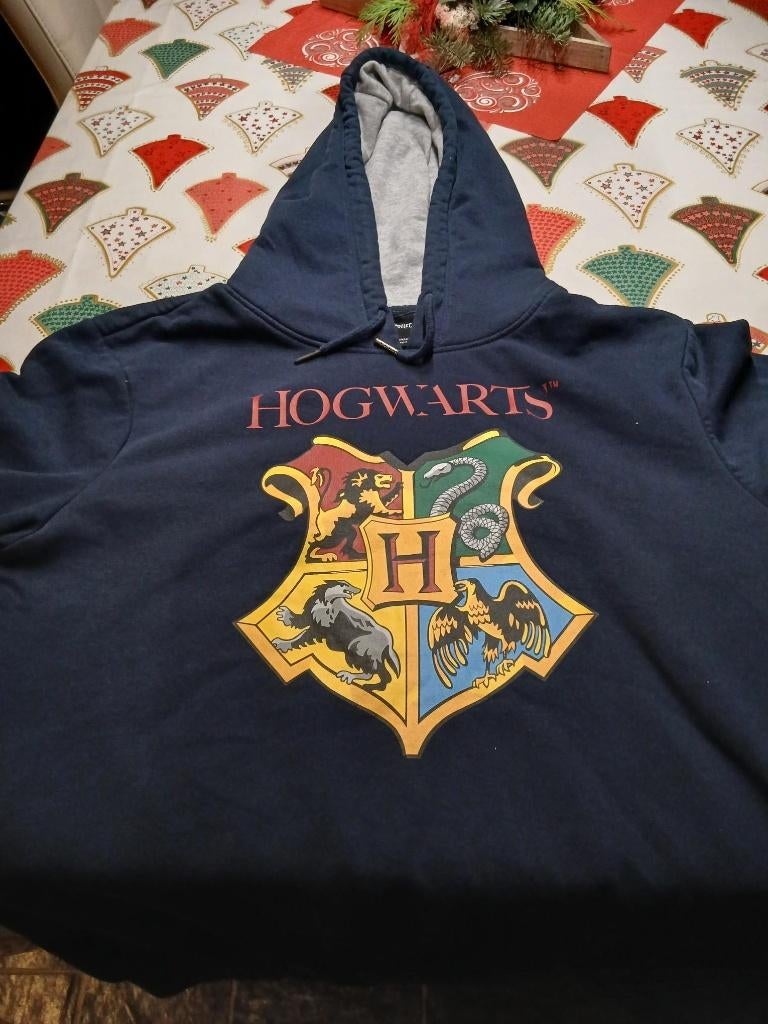 Z.G.A.N. Harry Potter sweater Maat 48-50 / 1 X GEDRAGEN..., Ophalen of Verzenden, Zo goed als nieuw, Maat 48/50 (M), Blauw