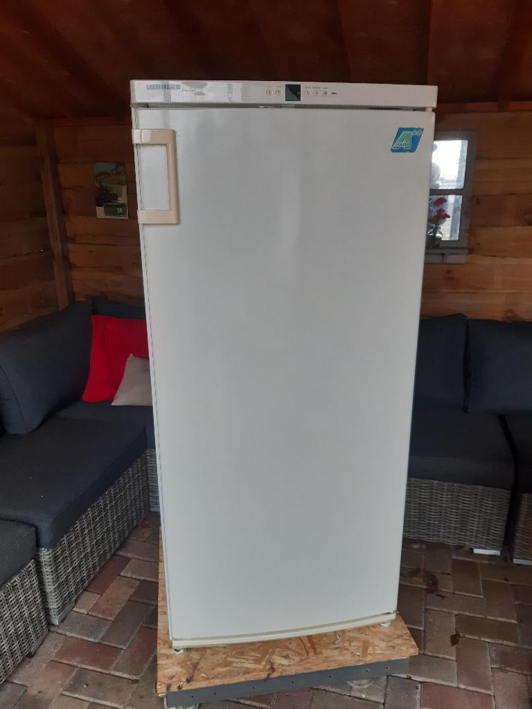 vrieskast, Witgoed en Apparatuur, Gebruikt, 140 tot 160 cm, Ophalen, Vrieskast
