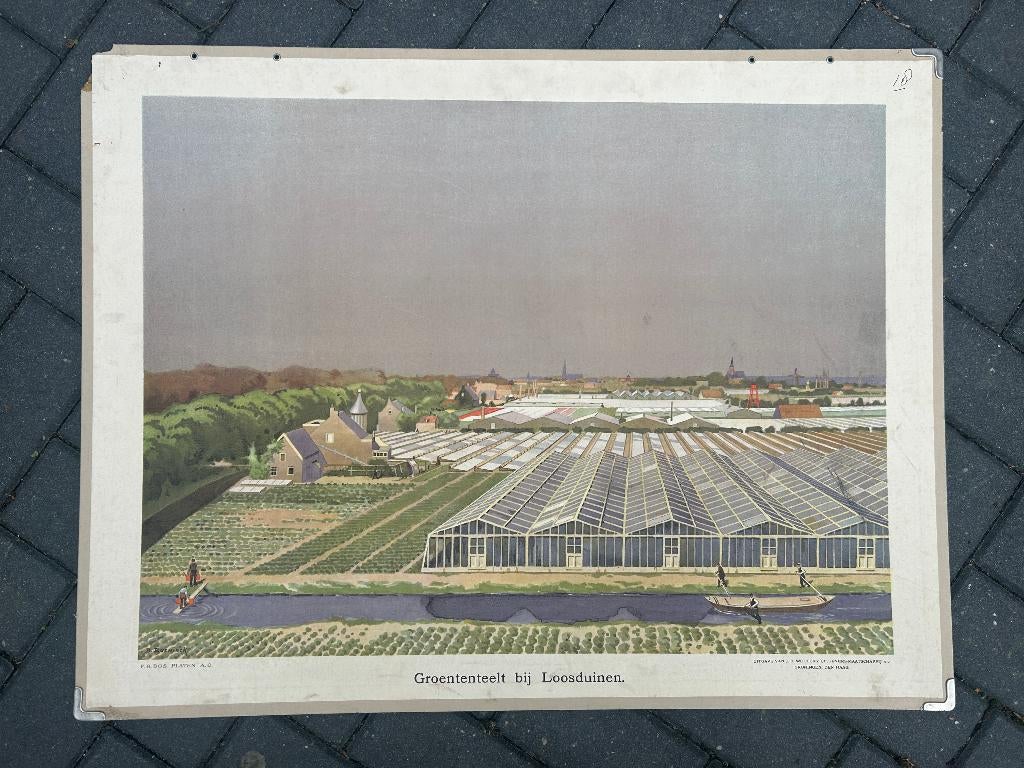 Groenteteelt bij Loosduinen, Ophalen of Verzenden, Aardrijkskunde