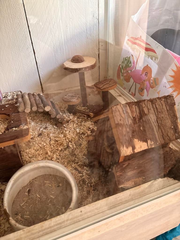 Hamster terrarium en toebehoren beschrijving goed lezen!!, Gebruikt, 75 tot 110 cm, Ophalen, Minder dan 60 cm