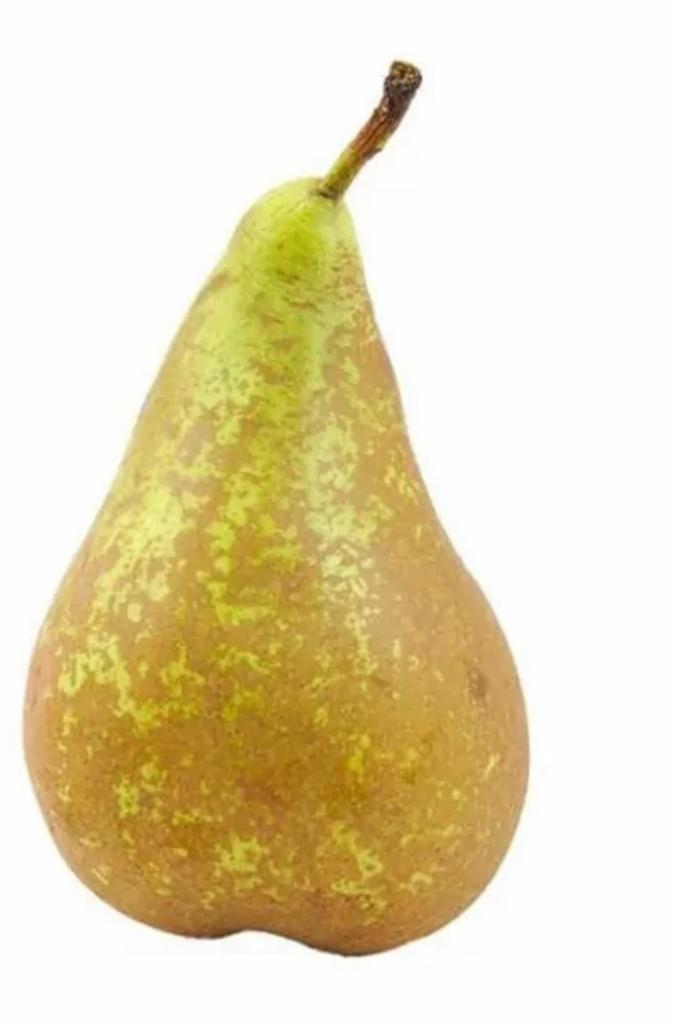 Hoogstam Bio peren en kersen bomen in pot €69,00 pst, Lente, Ophalen of Verzenden, 250 tot 400 cm, Perenboom