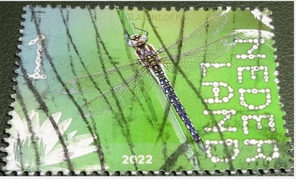 Beleef de Natuur - 4003 - 2022 - Glassnijder, Postzegels en Munten, Verzenden, Na 1940, Gestempeld