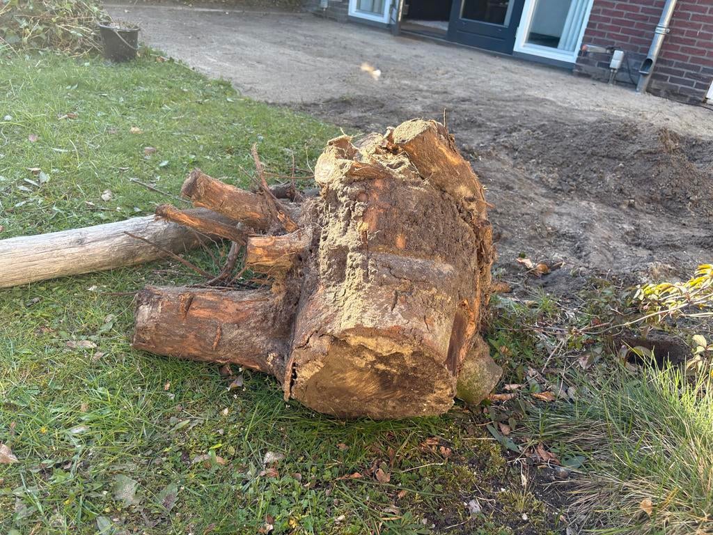 Boomstronk, Tuin en Terras, Ophalen