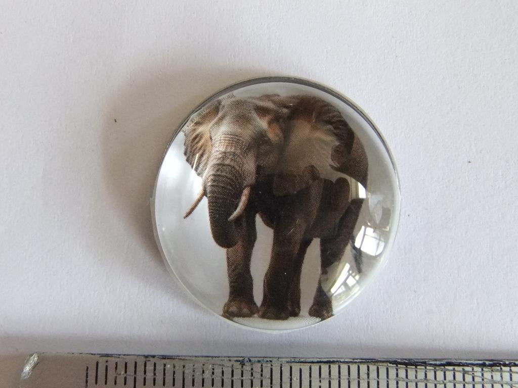 olifant  pin(speldje)25mm, Verzenden, Nieuw, Overige onderwerpen