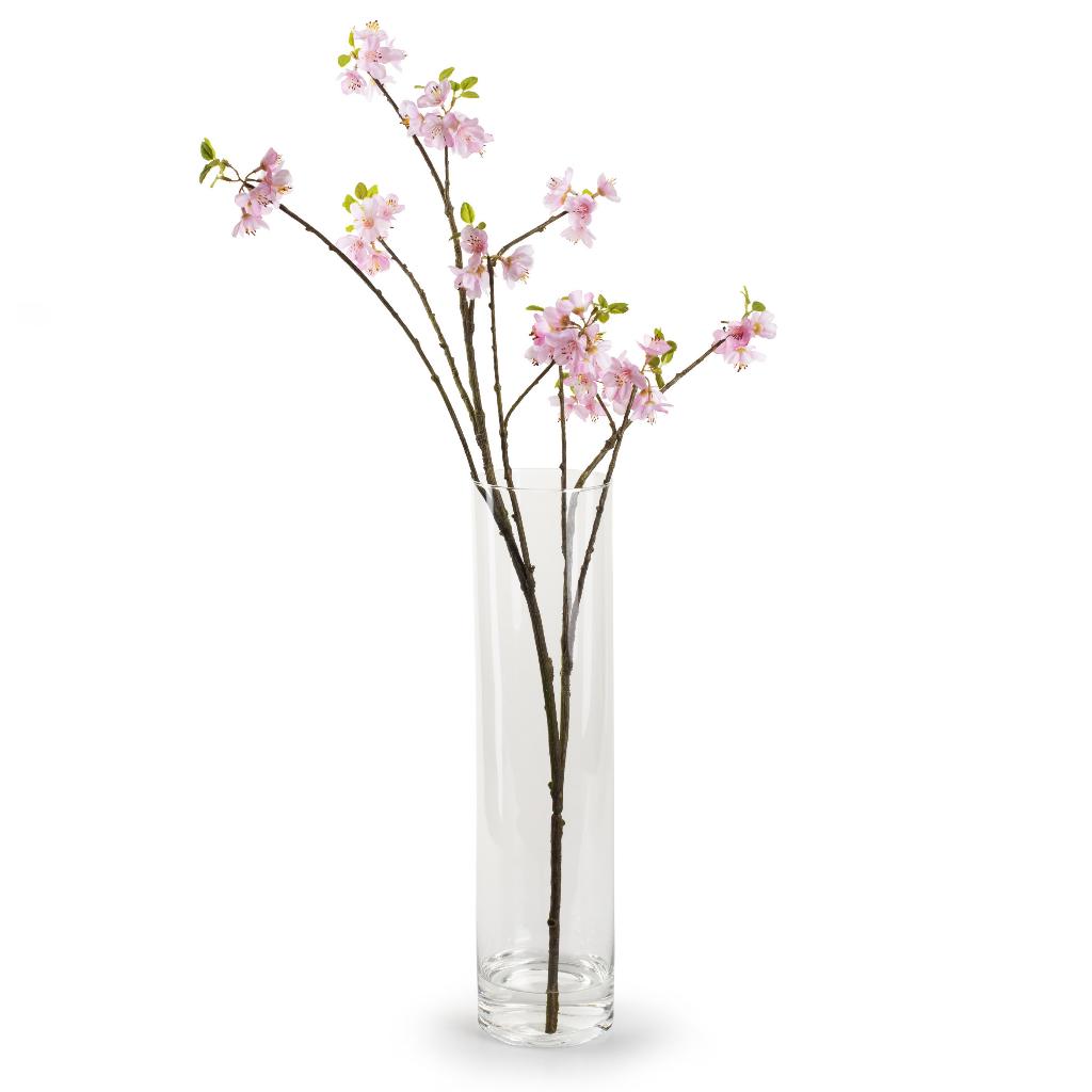 Deco cilinder vaas, Huis en Inrichting, Woonaccessoires | Vazen, Ophalen, Overige kleuren, 50 tot 75 cm, Glas