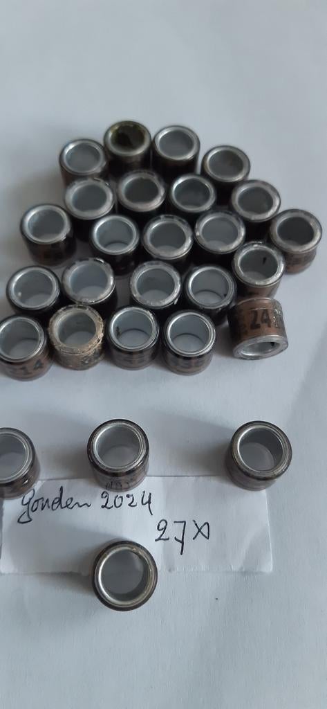 Duivenringen 24, Dieren en Toebehoren, Postduif