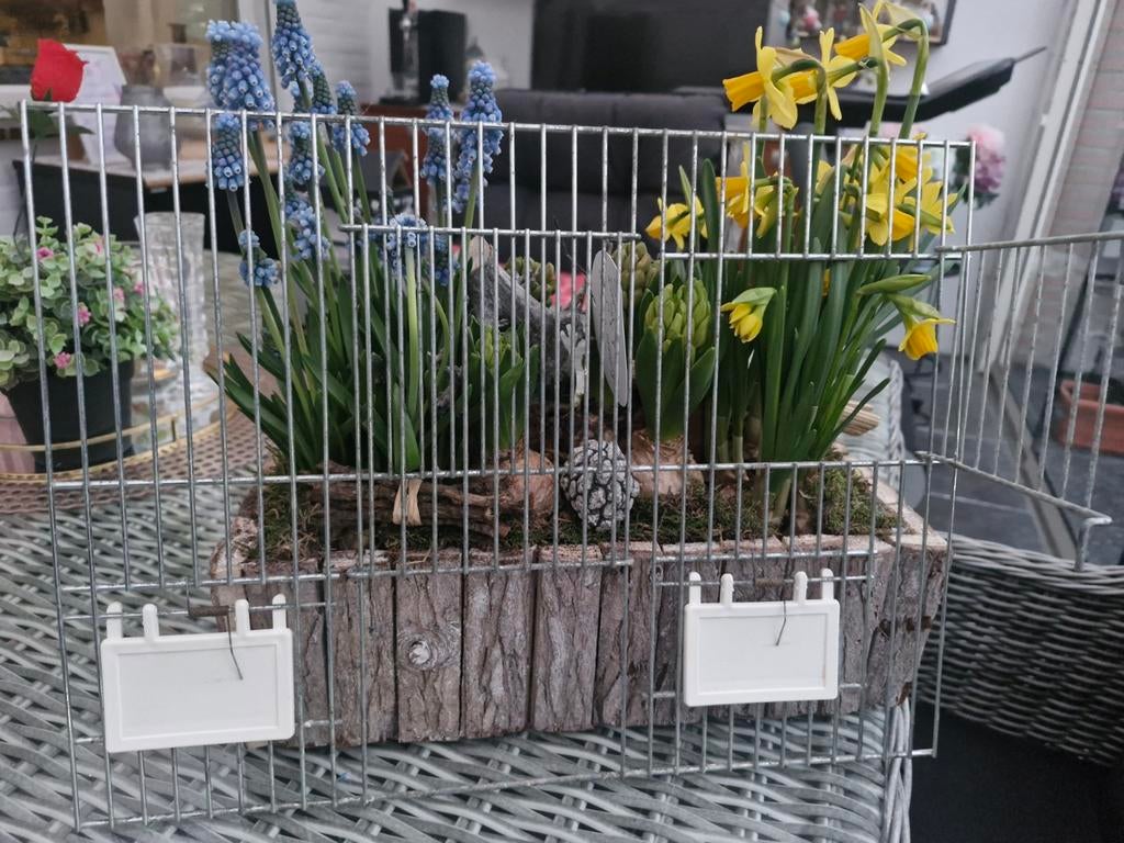 voorfrontjes 40x30 heesakkers kooien, Ophalen, Metaal, Broedkooi of Kweekkooi