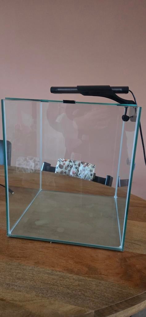 Nette aquarium cube, 50 liter, incl lamp en filter, Ophalen, Zo goed als nieuw, Leeg aquarium