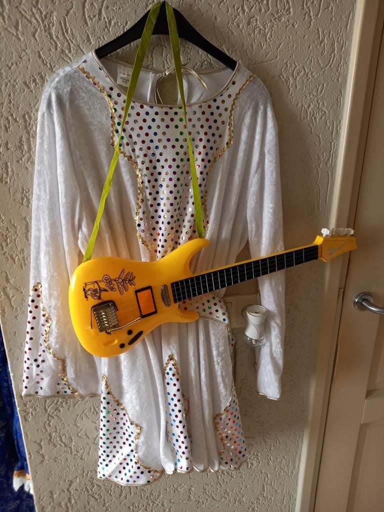 Diverse dure carnavalskleding, nu voor kleine prijsjes., Ophalen of Verzenden, Zo goed als nieuw, Maat 38/40 (M), Carnaval