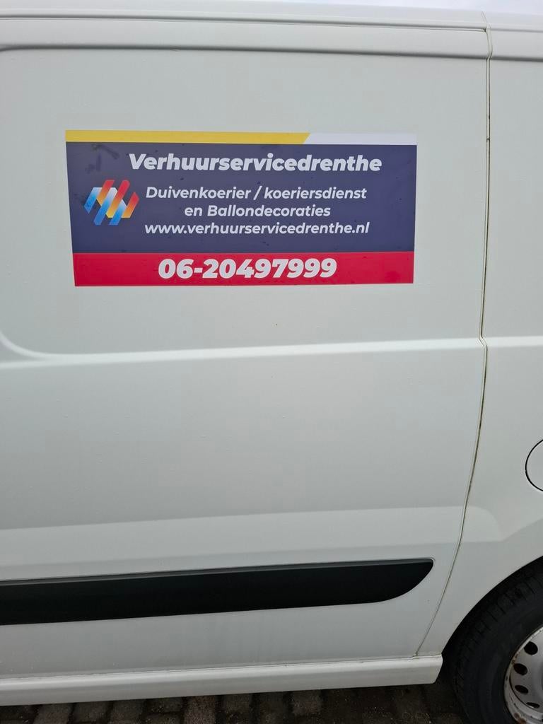 Duiven koerier/ koeriersdienst, Dieren en Toebehoren, Vogels | Duiven, Meerdere dieren, Postduif