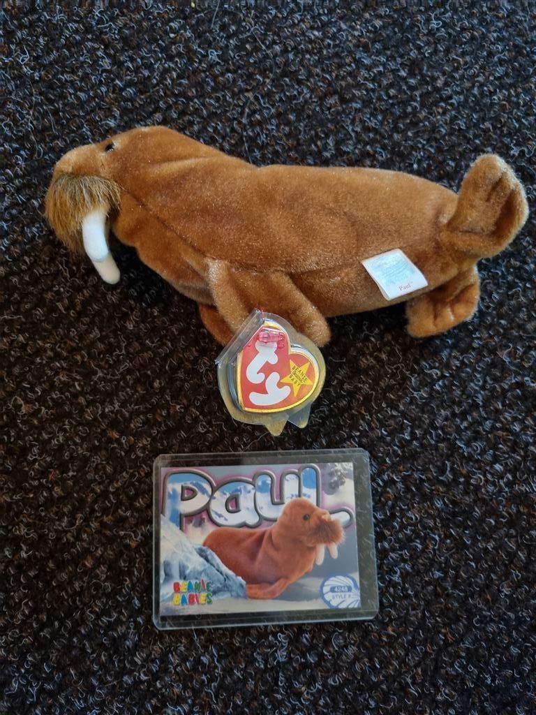 TY Beanie Baby Paul the Walrus 2nd Edition series 4 1999, Ophalen of Verzenden, Nieuw