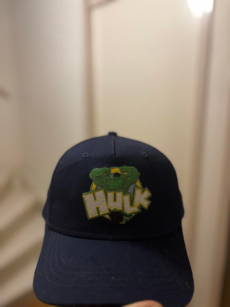 Hulk Pet, Ophalen of Verzenden, Zo goed als nieuw, One size fits all, Pet