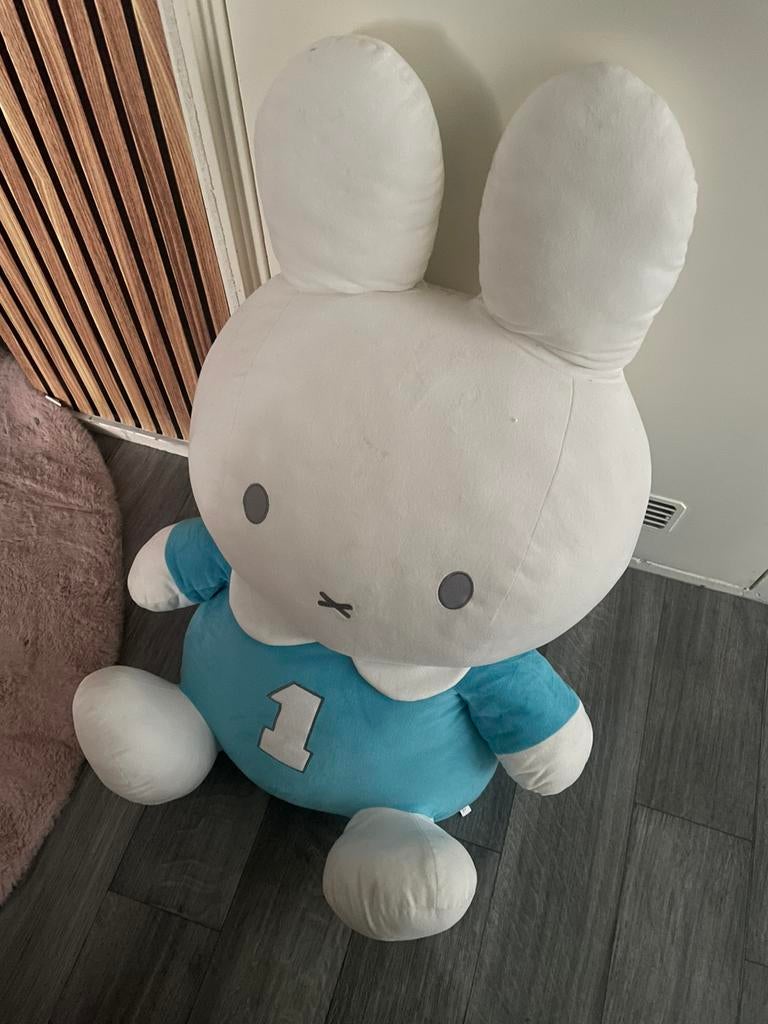 Super Grote nijntje, Ophalen, Zo goed als nieuw