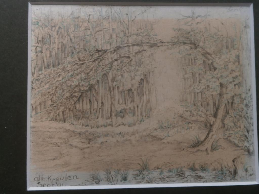 Tekening Bos, Boom Albert Kreulen, Ophalen of Verzenden