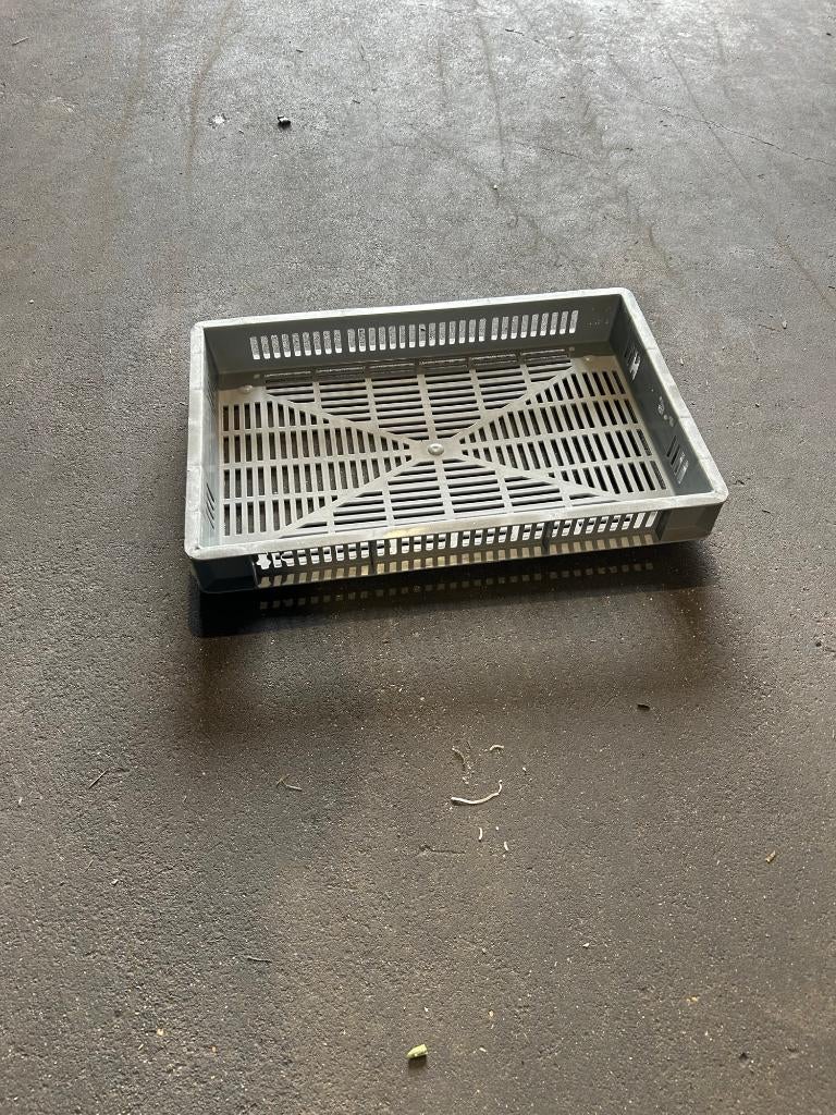 geperforeerde kratten 600x400 mm grijs hoogte 65mm, Gebruikt, 40 tot 60 cm, 50 tot 75 cm, Minder dan 35 cm