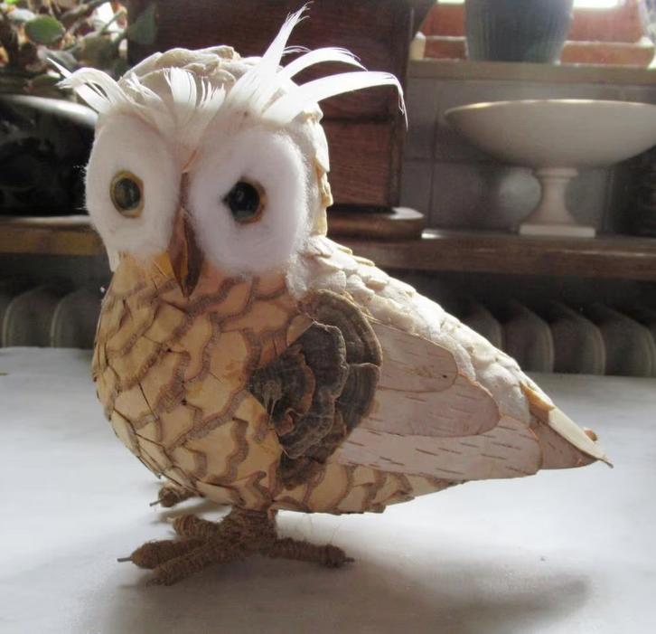 Uil met wenkbrauwveertjes, Ophalen of Verzenden, Nieuw, Dier