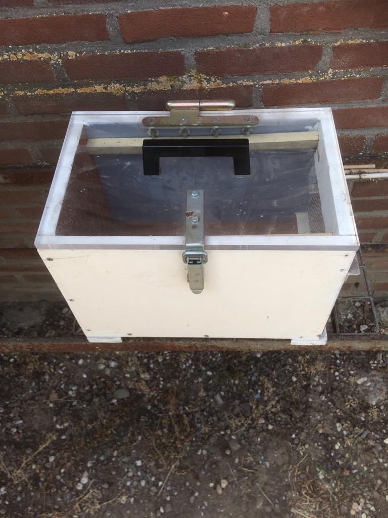 Duivenmand / cavia/ konijn transport kooi / kippen, Ophalen of Verzenden, Gebruikt