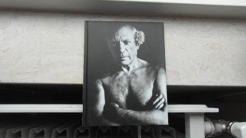 PICASSO - Portretten, fotoboek, nieuw, Ophalen of Verzenden, Nieuw, Fotografen