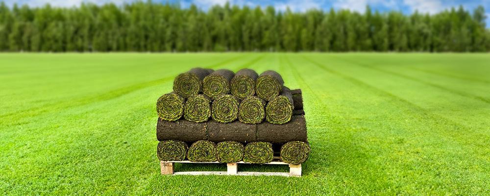 Graszoden €5,50 m2, Ophalen of Verzenden, Zo goed als nieuw, 20 m² of meer