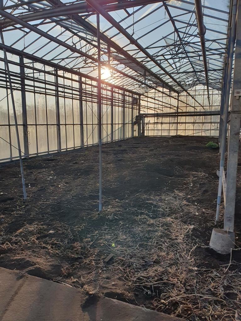 Kasruimte 120m2 te huur bijv. als moestuin of hobbykweker, Ophalen