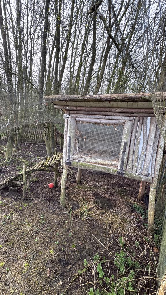 Kippenhok van hout; gratis ophalen, Ophalen, Gebruikt, Kippenhok of Kippenren