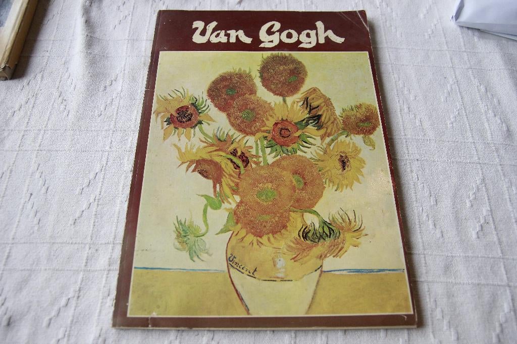 Van Gogh schilderijen, tekeningen en litho's, Boeken, Ophalen of Verzenden, Gelezen, Schilder- en Tekenkunst