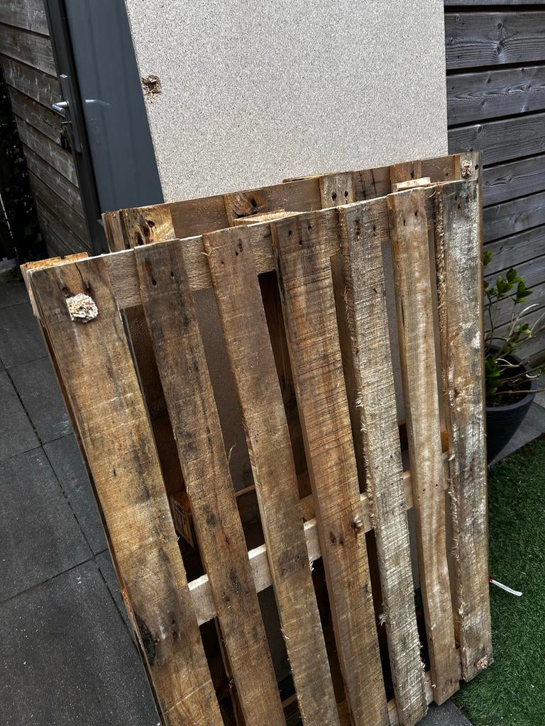 Gratis pallets, Ophalen, Gebruikt, 25 tot 50 mm, Pallet