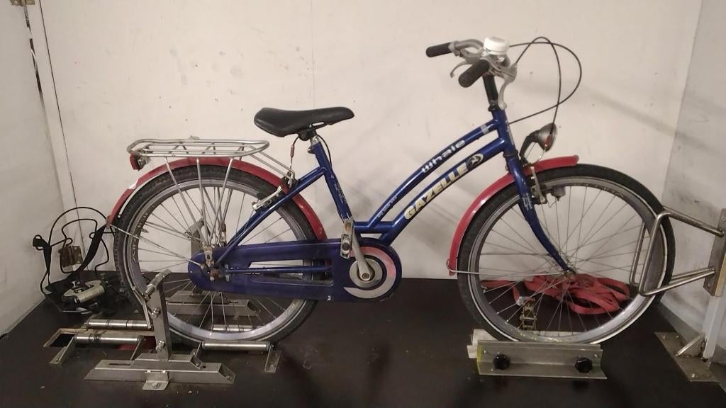 Gazelle Whale Kinderfiets, Ophalen, Gebruikt, 20 inch of meer, Gezelle