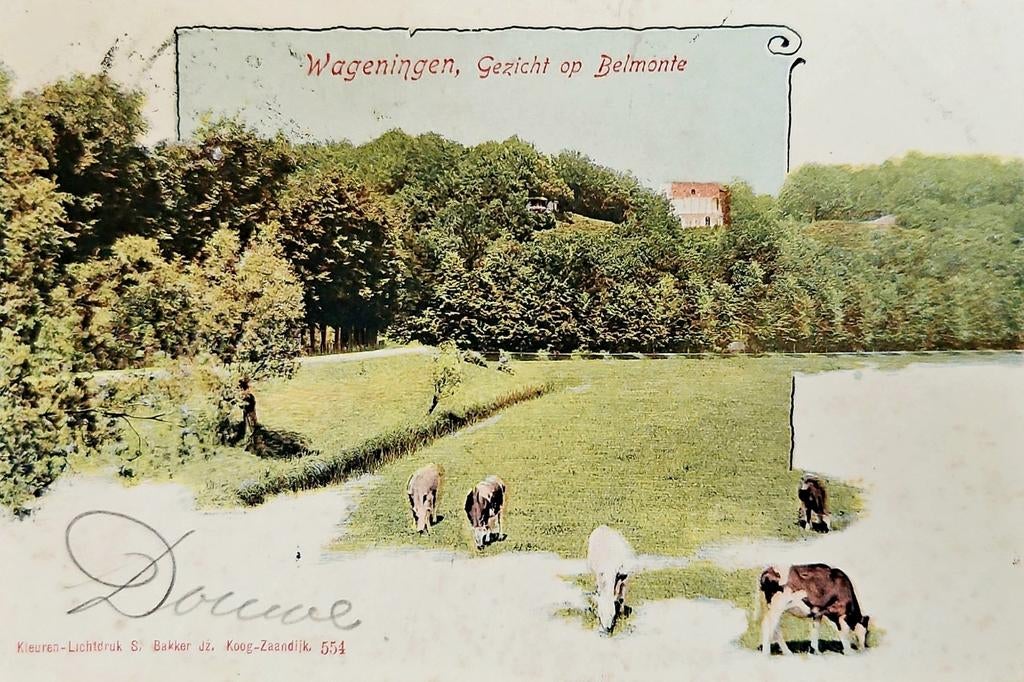 Wageningen - Gezicht op Belmonte, Verzenden, Voor 1920, Gelopen, Gelderland