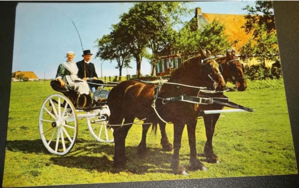 Paard - Friesland - Klederdracht - Sjees, Verzamelen, Verzenden, 1980 tot heden, Gelopen, Paard