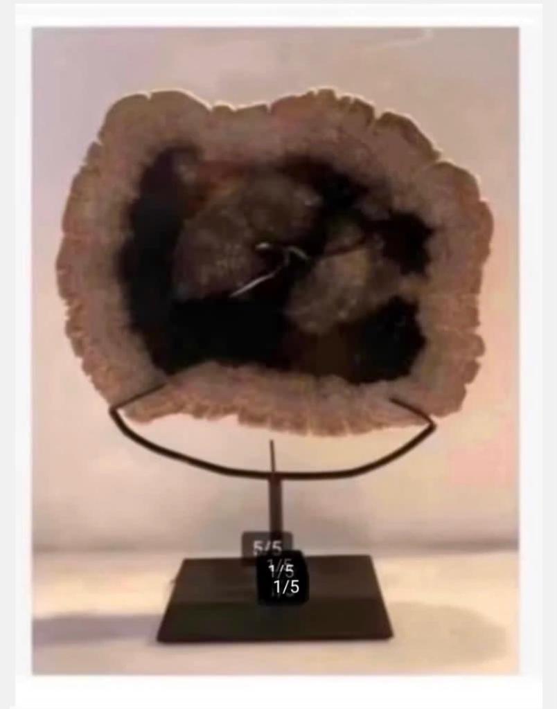 Versteend hout, plak 22 x 17 cm, op metalen standaard, Ophalen of Verzenden