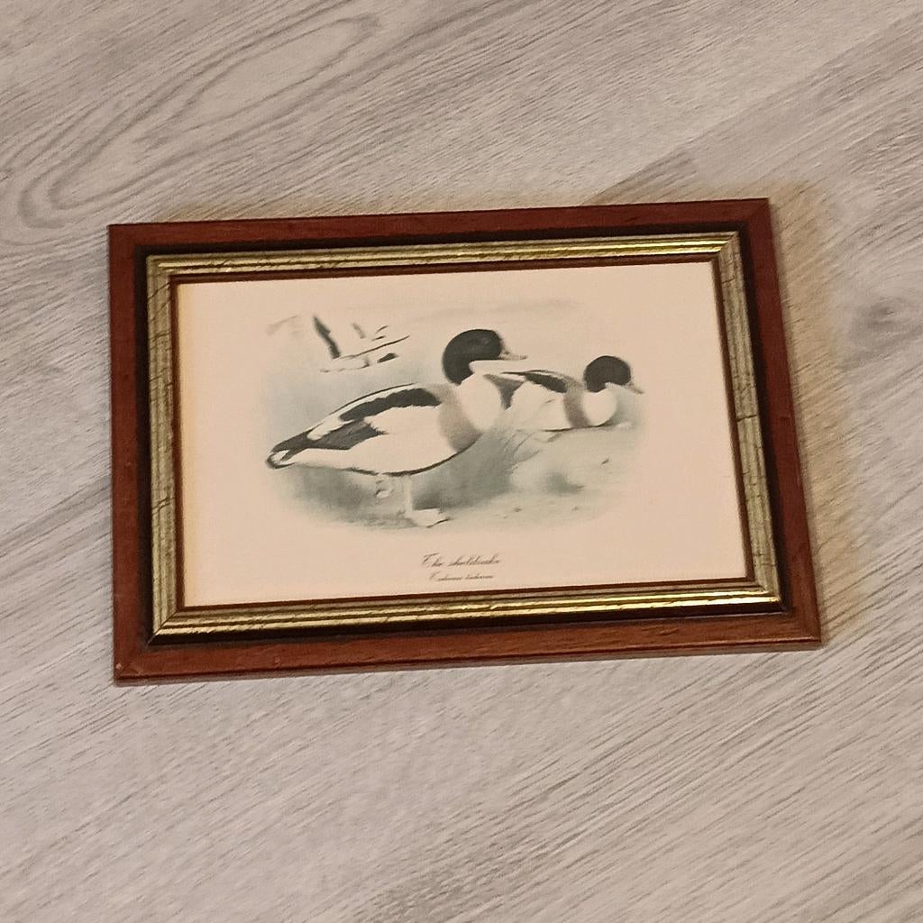 Antieke lijst met eenden erop 29x20 cm, Huis en Inrichting, Ophalen of Verzenden, Gebruikt