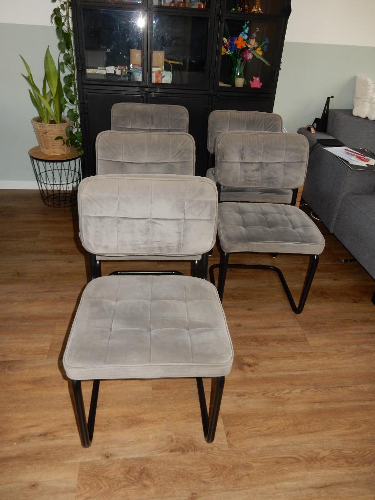 5 Kick Ivy grijs buisframe eetkamer stoelen, Ophalen, Gebruikt, Buisframe, Metaal