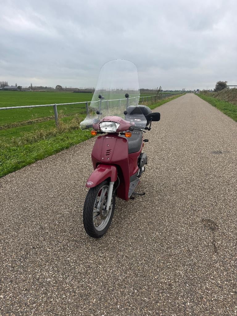 Honda Scoopy bromScooter, Ophalen, Overige modellen, Maximaal 45 km/u, Zo goed als nieuw