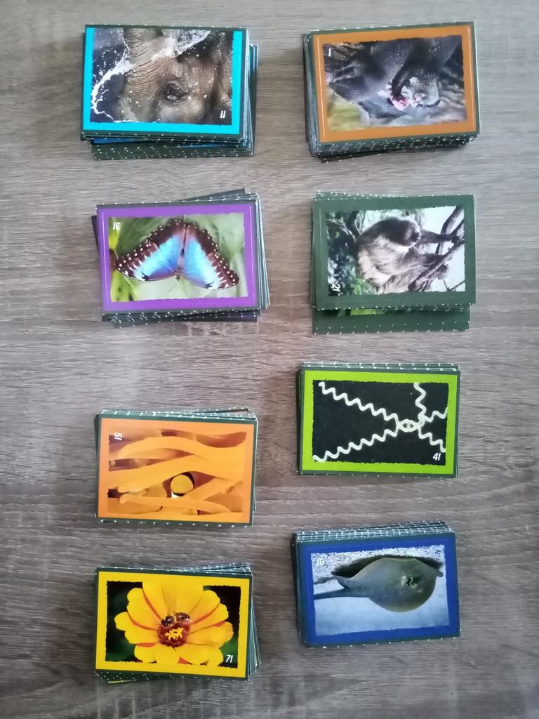 Bijna compleet Deka Artis dieren stickers, Ophalen of Verzenden, Nieuw, Dier en Natuur
