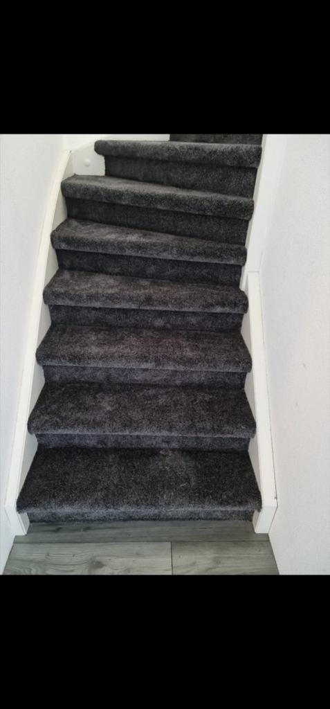 Trap met tapijtbekleding - Diverse kleuren, Ophalen of Verzenden, Gebruikt, Trap, 2 tot 4 meter