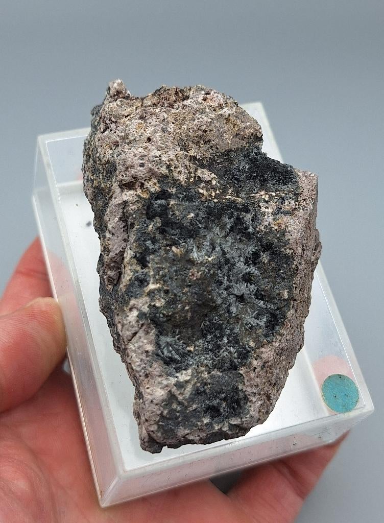 Manganiet - Geraberg, Thüringen, Duitsland, Ophalen of Verzenden, Mineraal